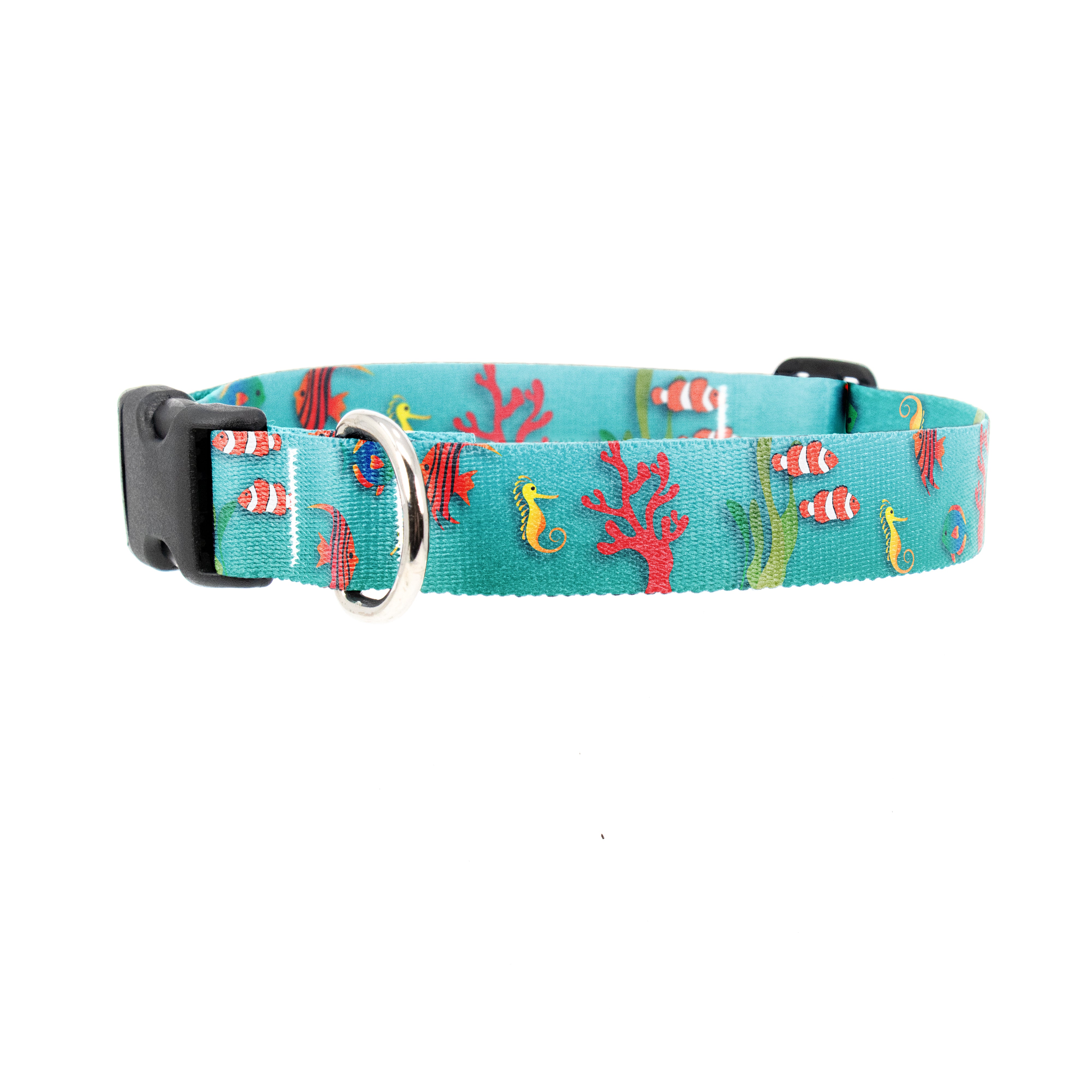 Buttonsmith dog collars best sale