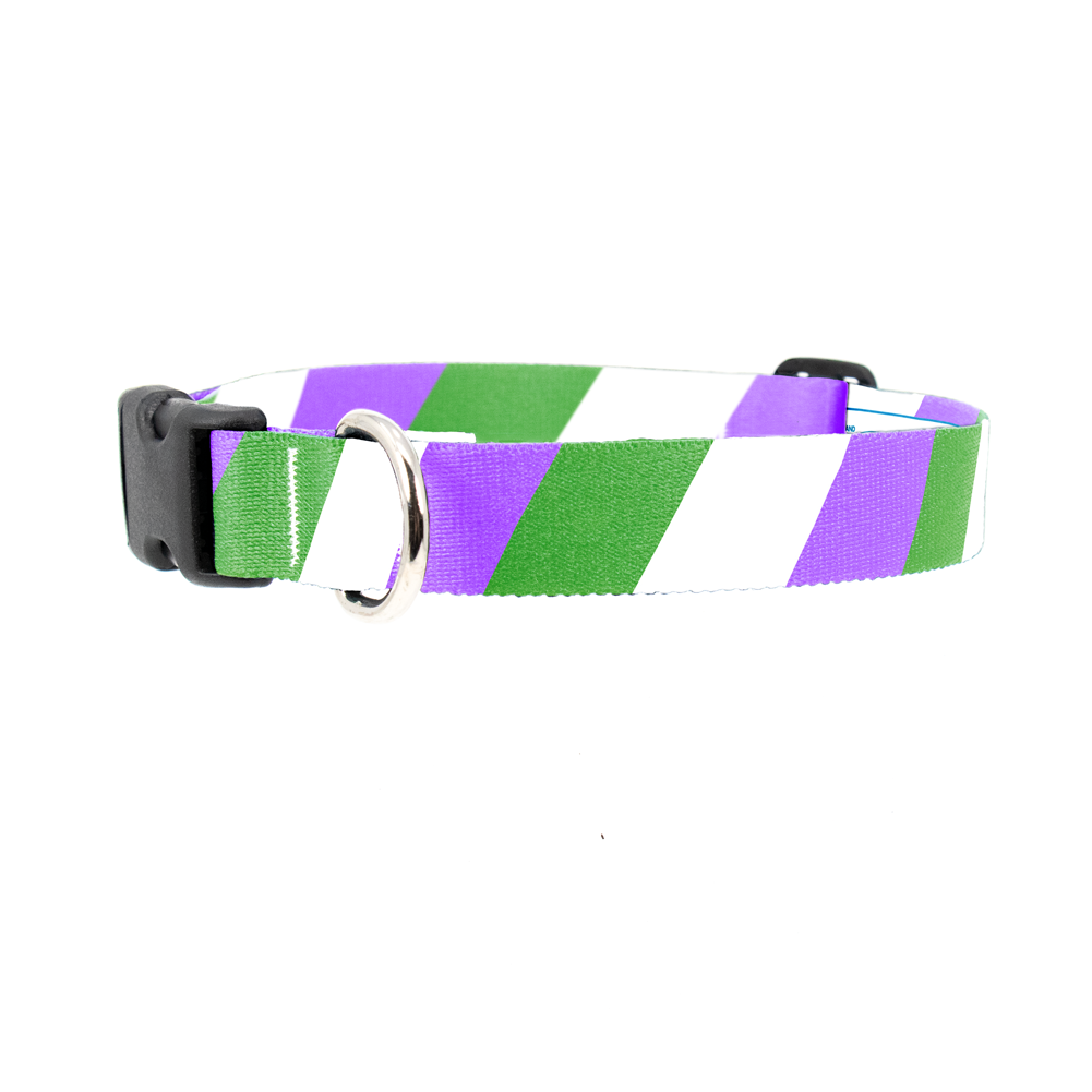 Gender Queer Pride Dog Collar - Made in USA