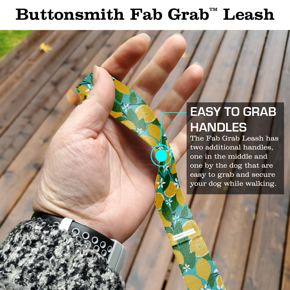 Lemon Grove Fab Grab Leash - Made in USA