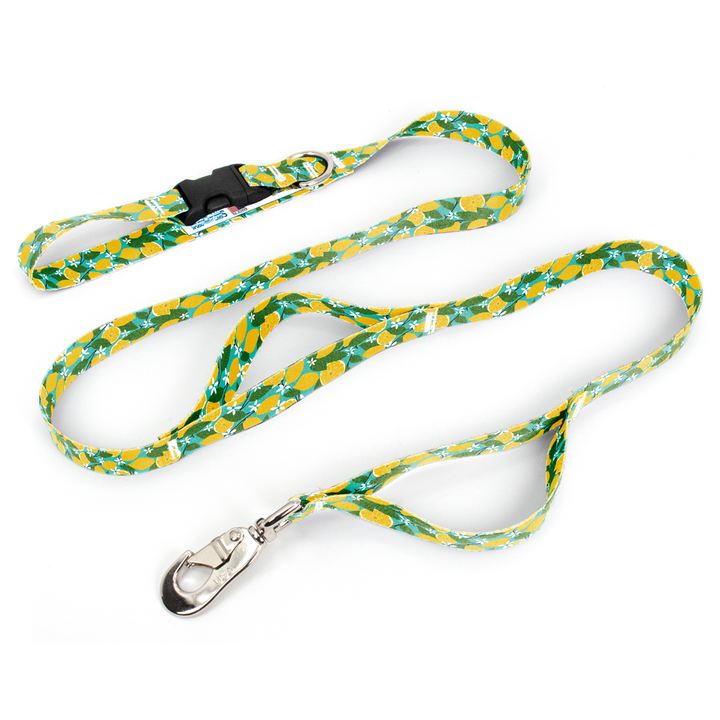 Lemon Grove Fab Grab Leash - Made in USA