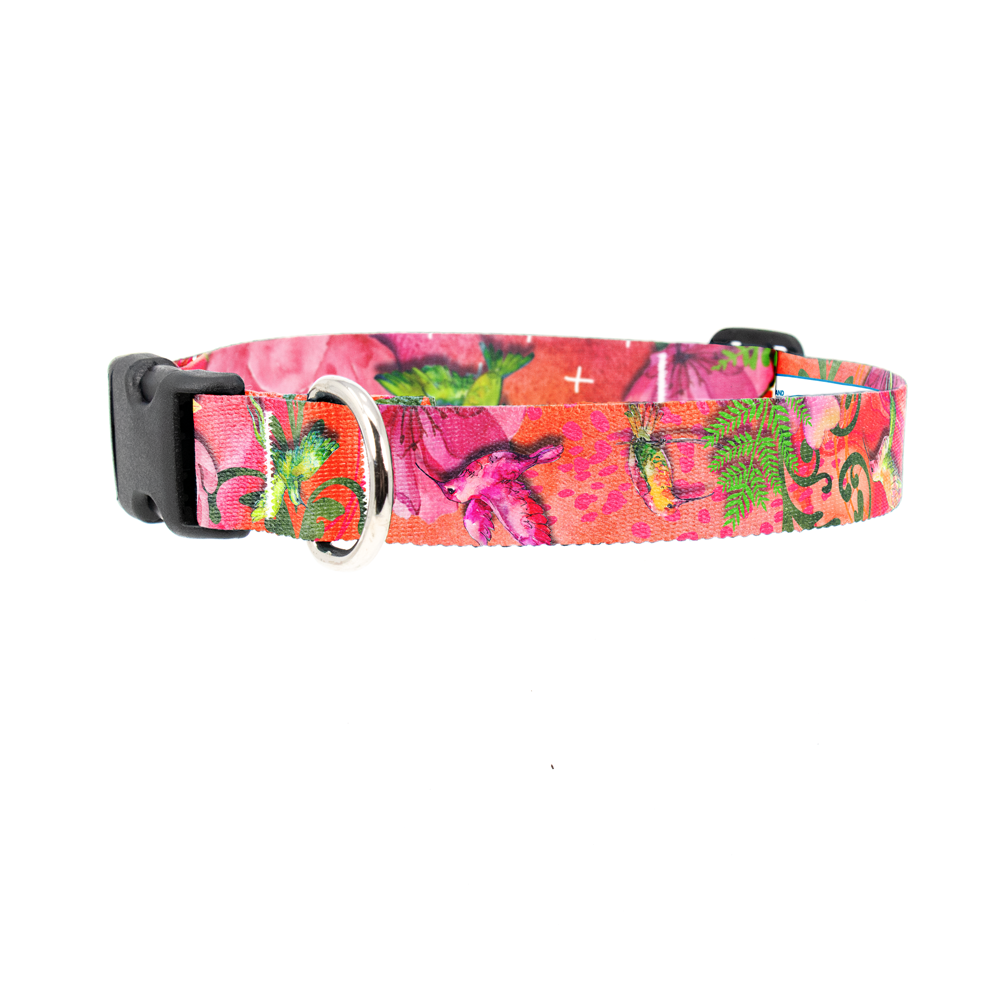 Charm Riot Dog Collar - Made in USA