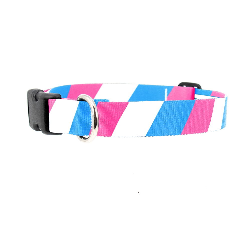 Transgender Pride Dog Collar - Made in USA