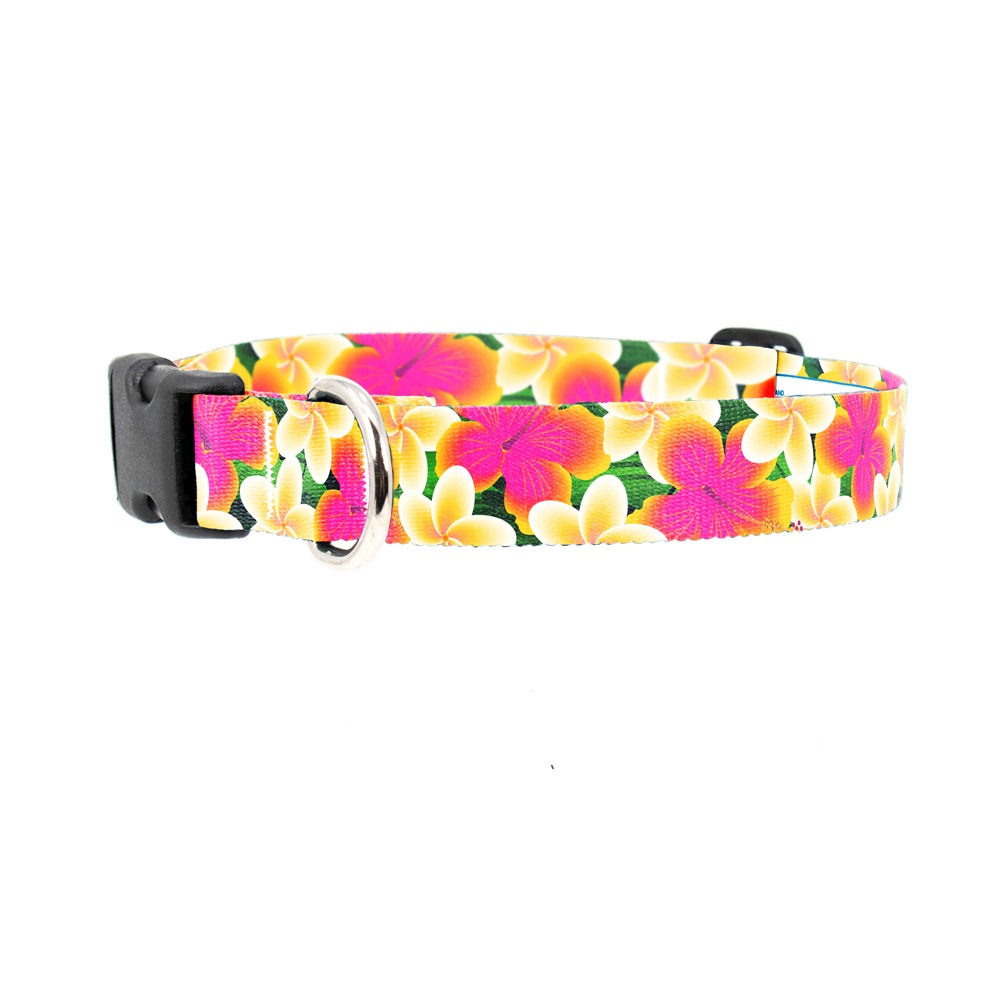 Aloha Lei Dog Collar - Made in USA