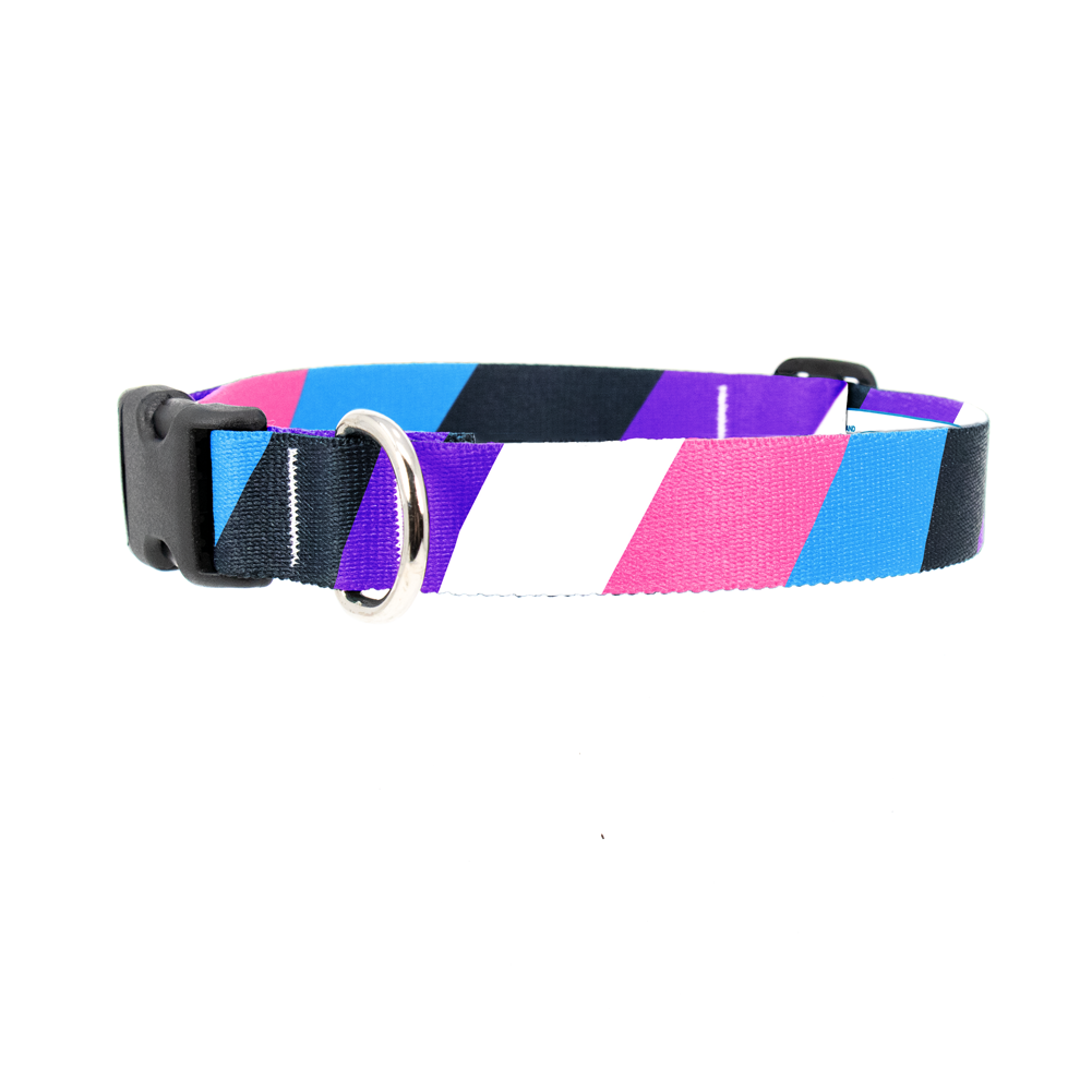 Gender Fluid Pride Dog Collar - Made in USA