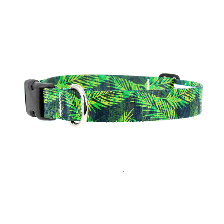 Palms Dog Collar - Made in USA