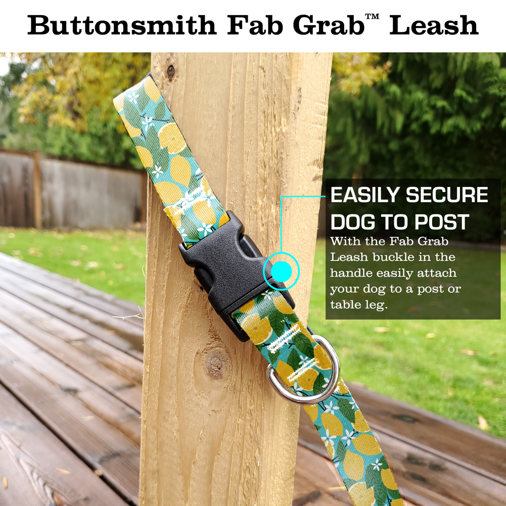 Lemon Grove Fab Grab Leash - Made in USA