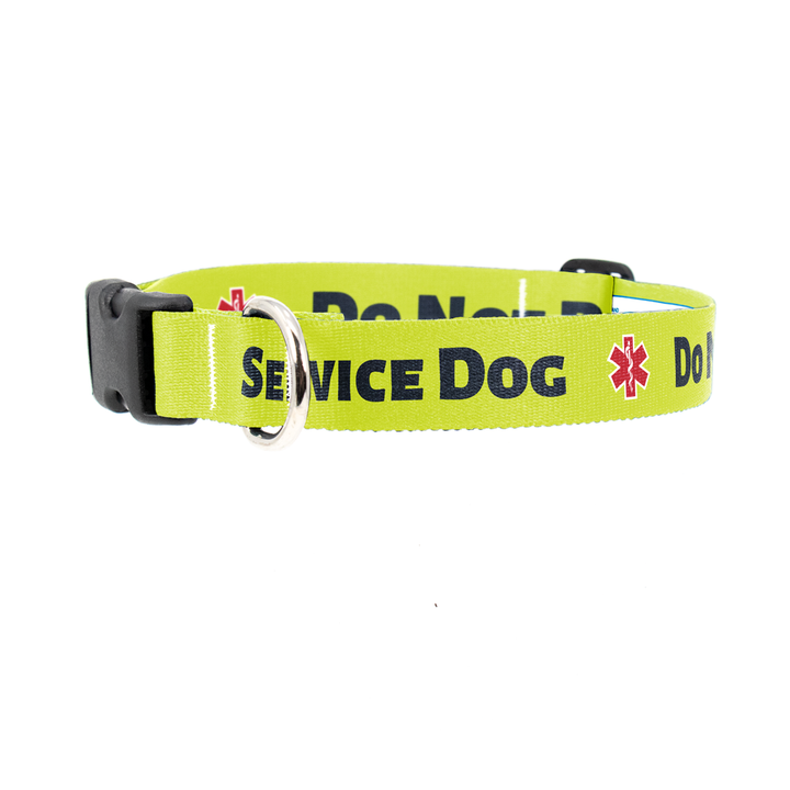 DoNotPet-Yellow Dog Collar - Made in USA