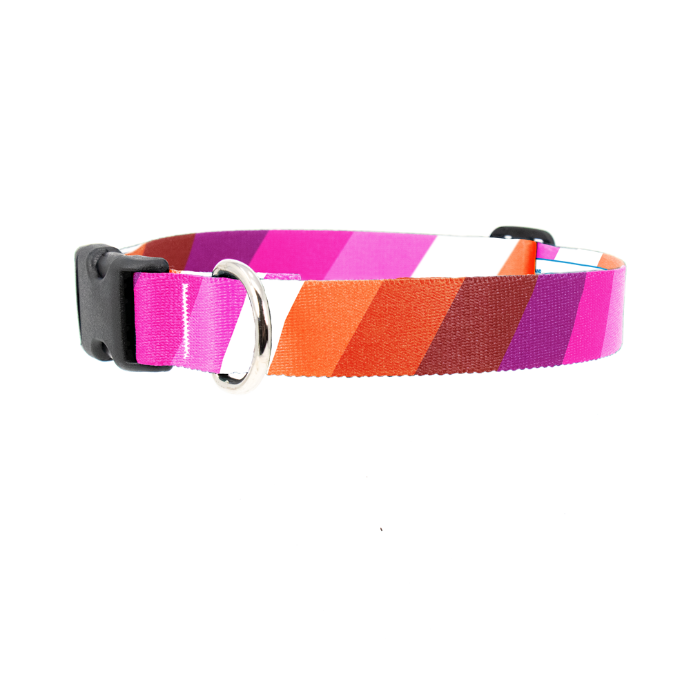 Lesbian Pride Dog Collar - Made in USA