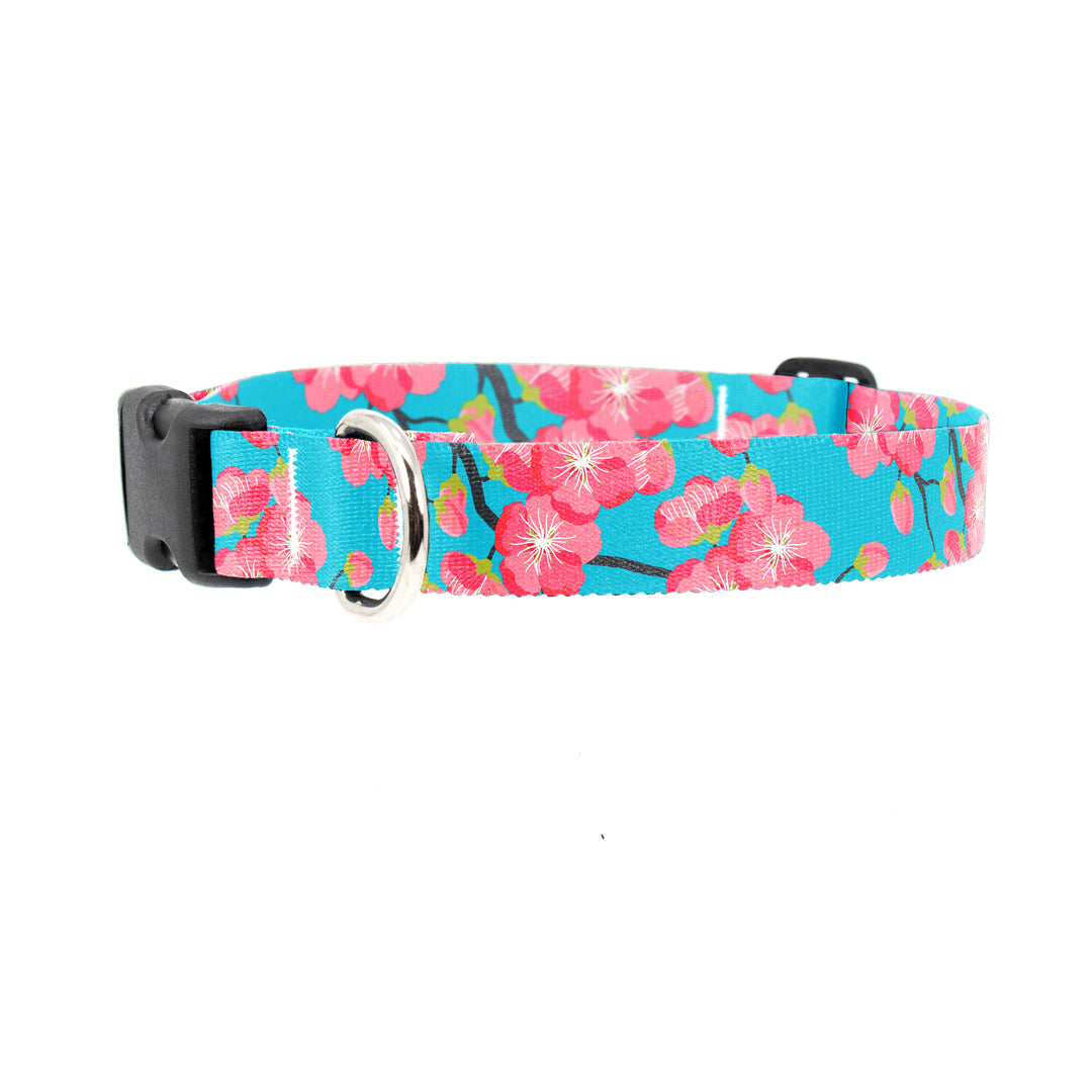 Cheery Cherry Dog Collar - Made in USA