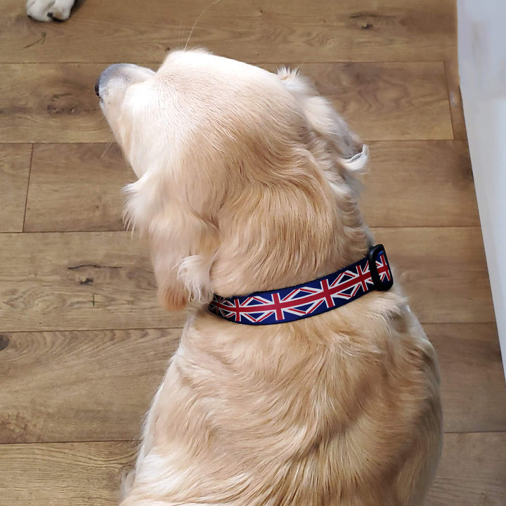 Flags Union Jack Dog Collar - Made in USA