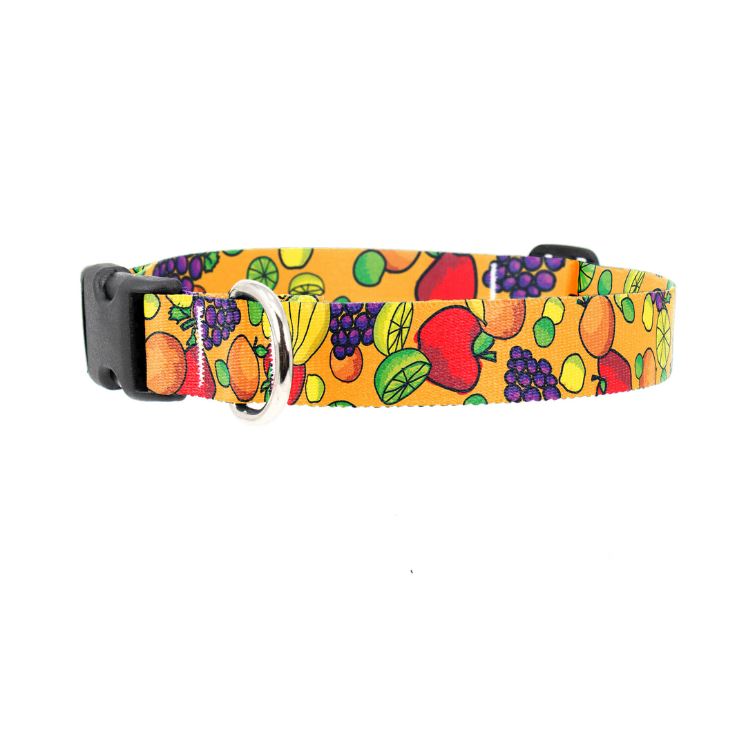 Fruit Frenzy Dog Collar - Made in USA