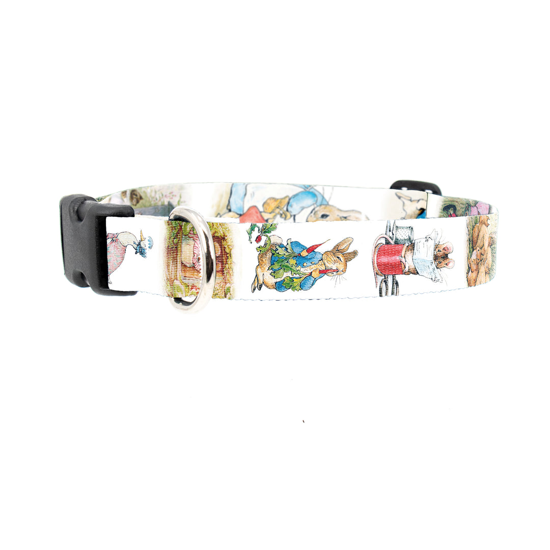 Beatrix Potter Peter Rabbit Dog Collar - Made in USA