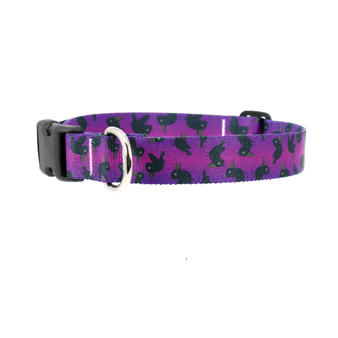 Purple Crows Dog Collar - Made in USA