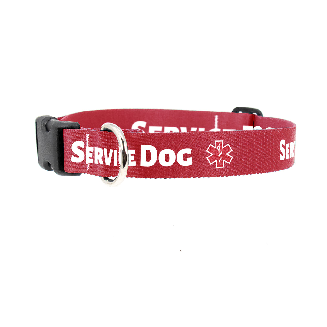 Service Dog Red Dog Collar - Made in USA