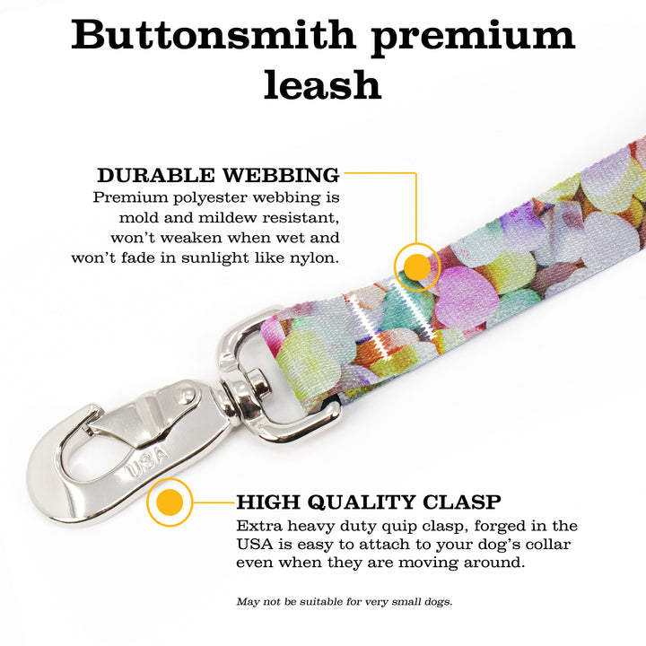 Conversation Hearts Fab Grab Leash - Made in USA