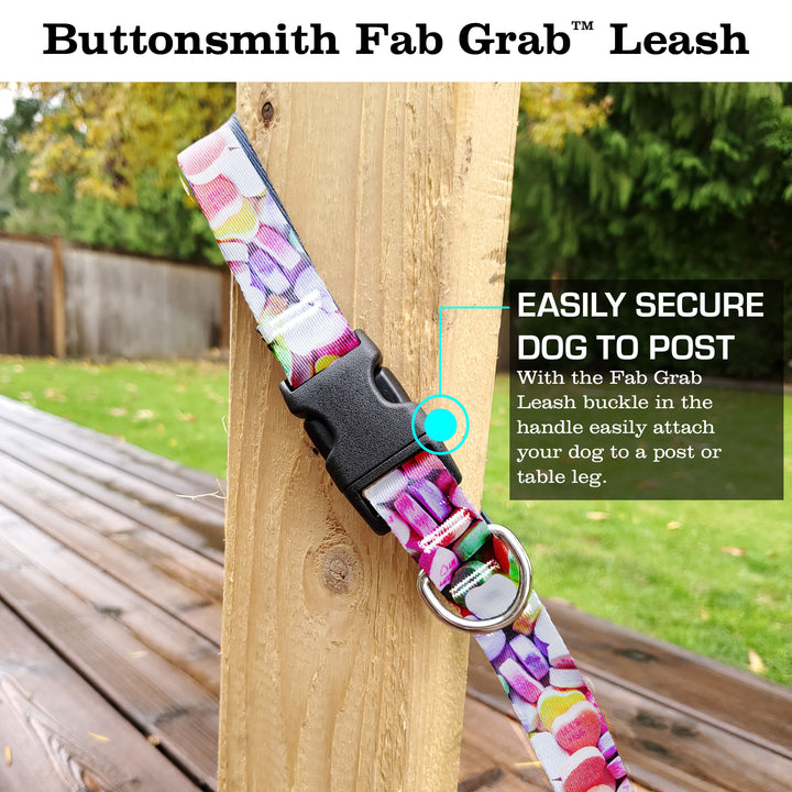 Conversation Hearts Fab Grab Leash - Made in USA