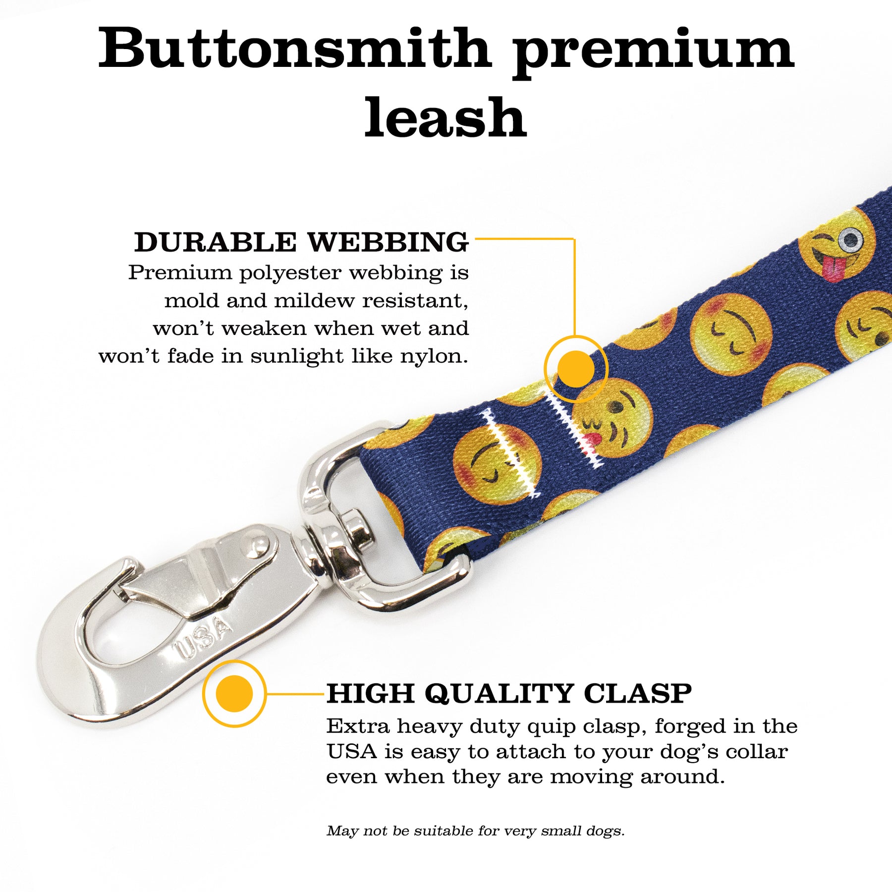 Premium Blue Super Dog Collar and Leash