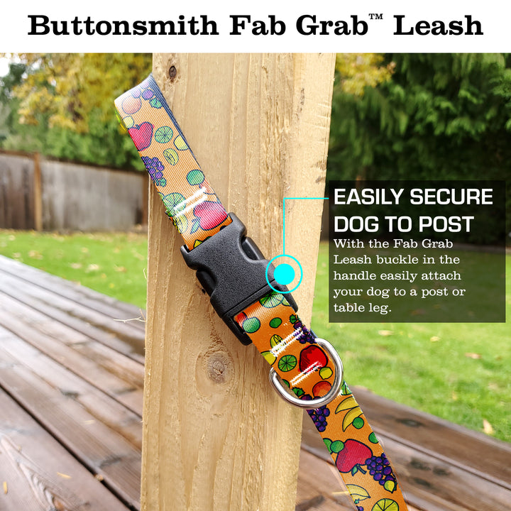 Fruit Frenzy Fab Grab Leash - Made in USA