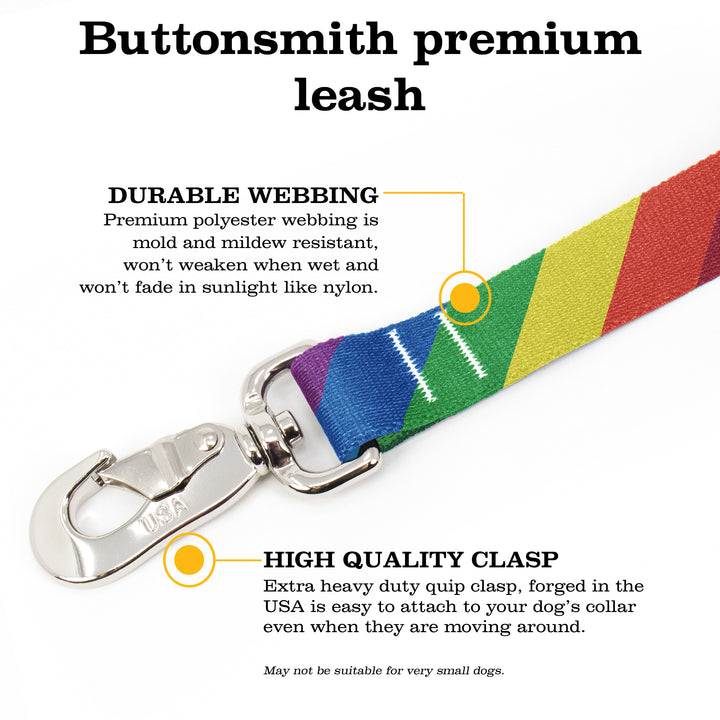 Rainbow Flag Fab Grab Leash - Made in USA