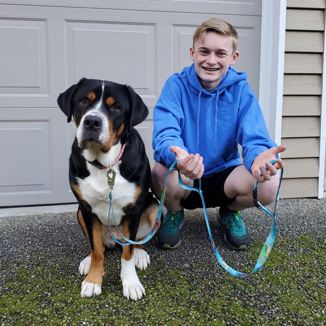 Toy Wheels Green Fab Grab Leash - Made in USA