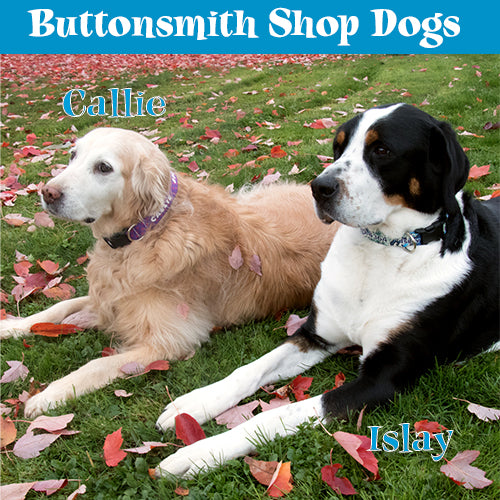 Custom Personalized Dog Collars - Dots Designs - Made in USA - Buttonsmith Inc.