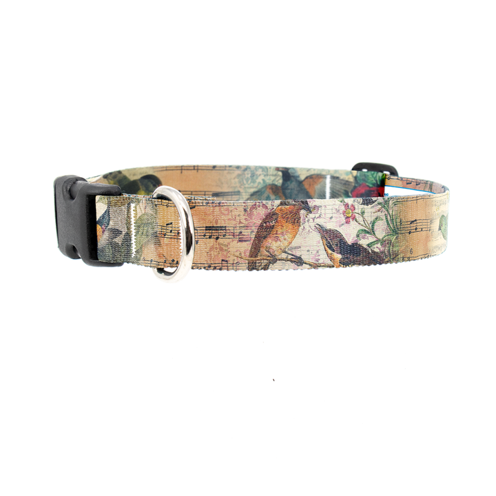 Birdsong Dog Collar - Made in USA