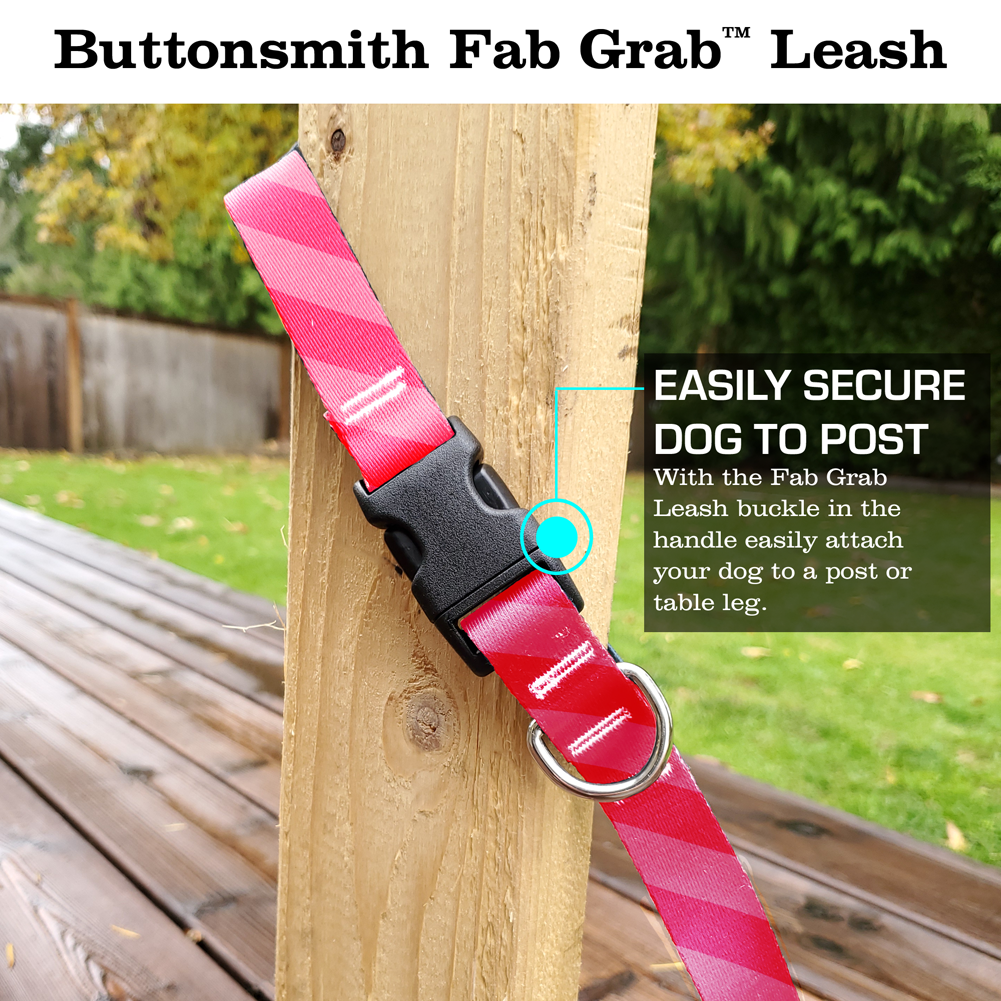 Stripes Pink Fab Grab Leash - Made in USA