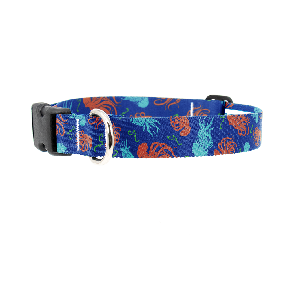 Deepwater Denizens Dog Collar - Made in USA