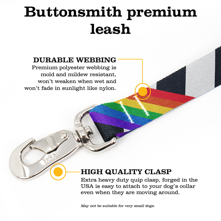 Pride Ally Fab Grab Leash - Made in USA