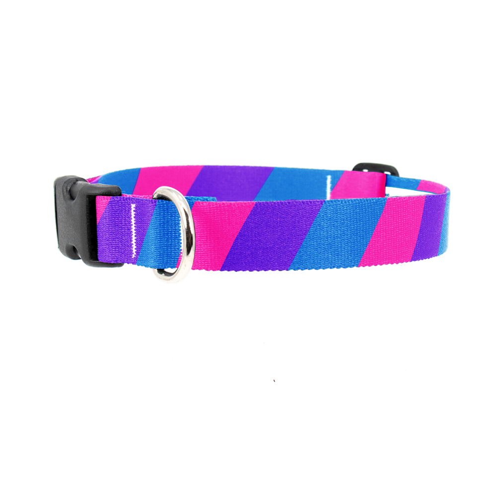 Bisexual Pride Dog Collar - Made in USA