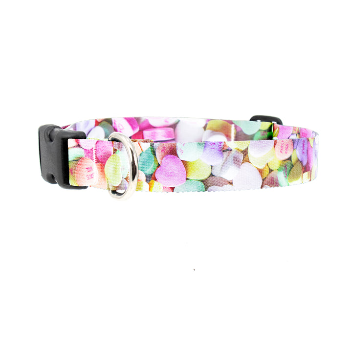 Buttonsmith Conversation Hearts Dog Collar - Made in the USA - Buttonsmith Inc.