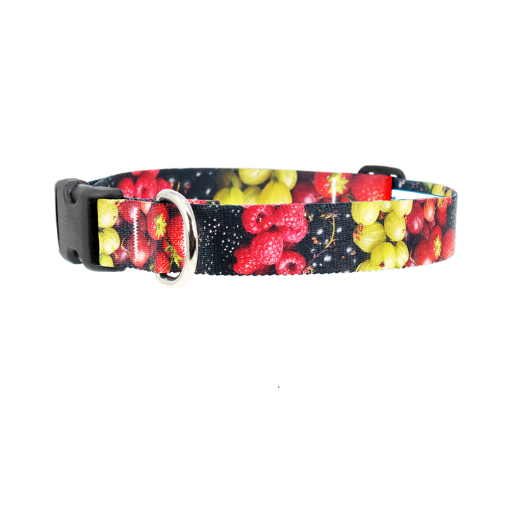 Birdsong Dog Collar - Made in USA