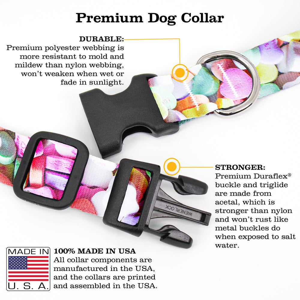 Buttonsmith Conversation Hearts Dog Collar - Made in the USA - Buttonsmith Inc.