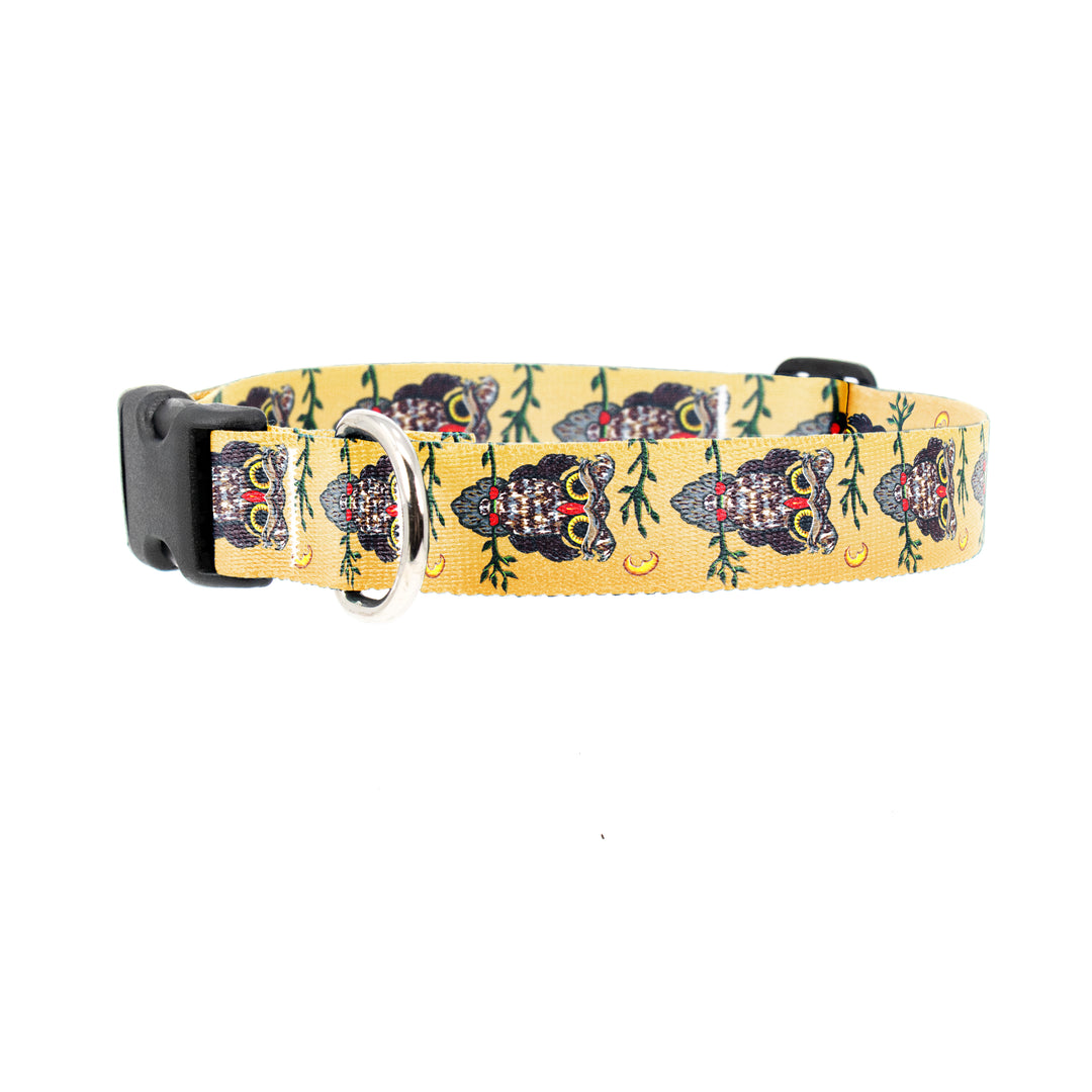 Buttonsmith McGovern Owl Dog Collar - Made in the USA - Buttonsmith Inc.