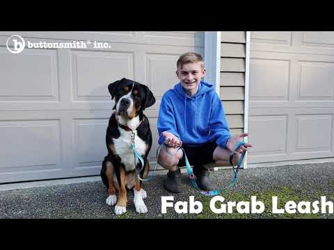 Blue Mountains Fab Grab Leash - Made in USA