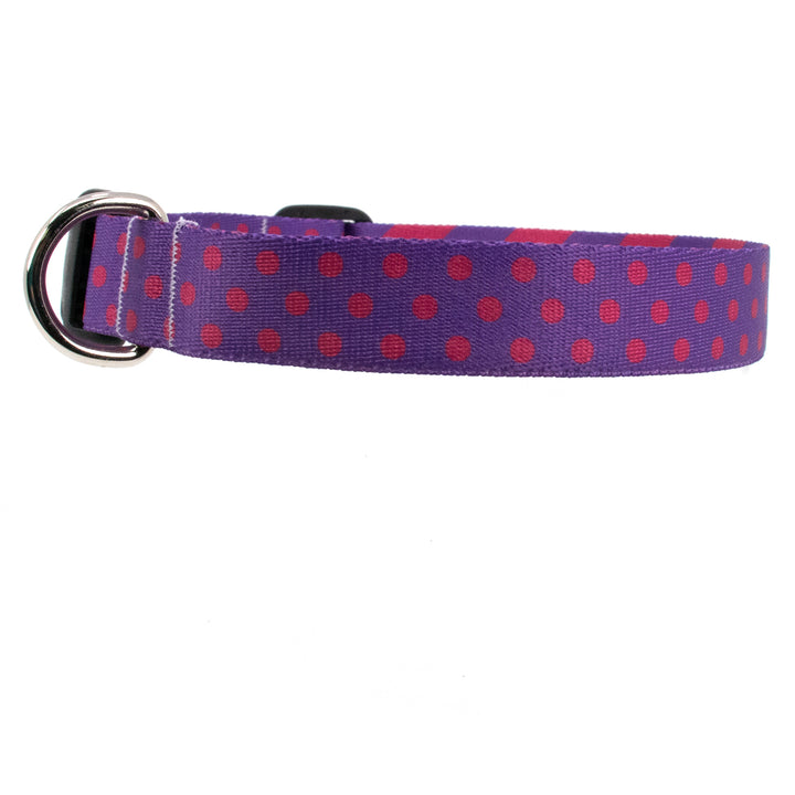 Buttonsmith Magenta Dots Dog Collar - Made in USA - Buttonsmith Inc.