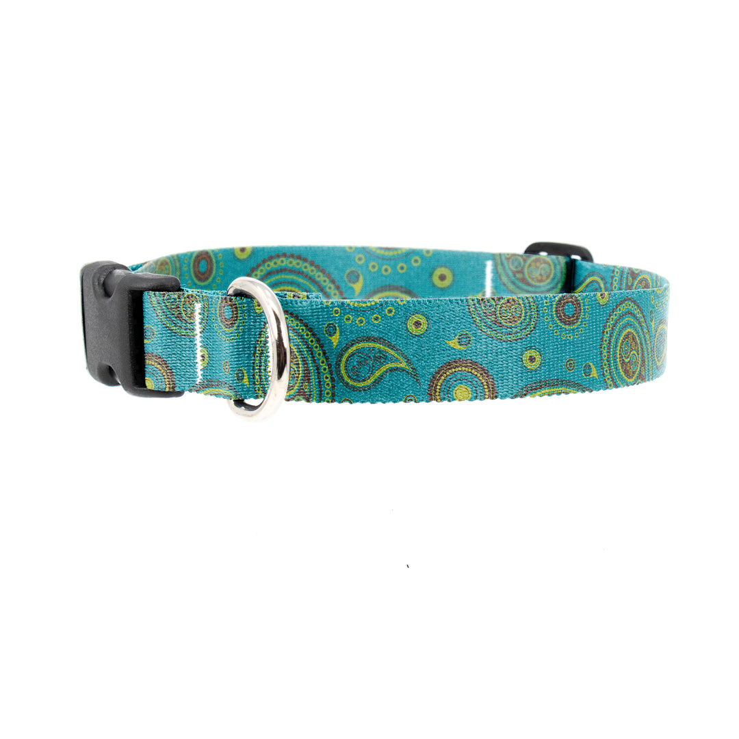 Buttonsmith Paisley Dog Collar - Made in the USA - Buttonsmith Inc.